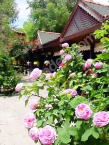 Property Gallery Image