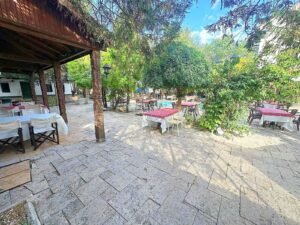 Property Gallery Image