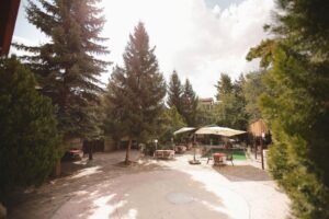 Property Gallery Image