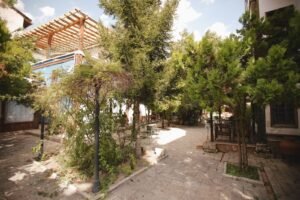 Property Gallery Image