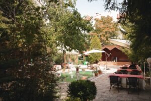 Property Gallery Image