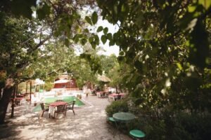 Property Gallery Image